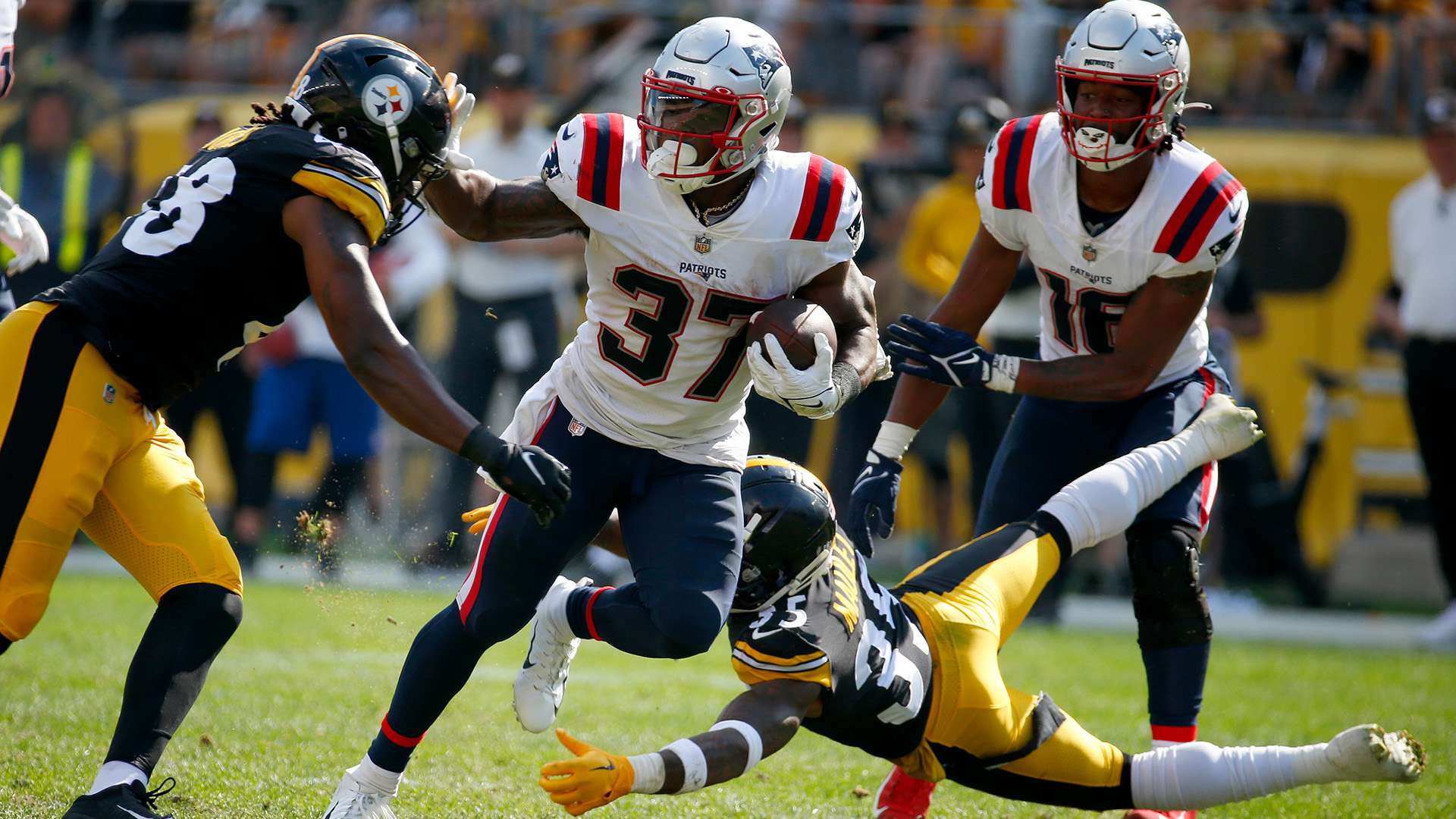 为本赛季的 为本赛季的